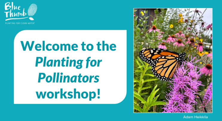 Planting for Pollinators March 26 2026