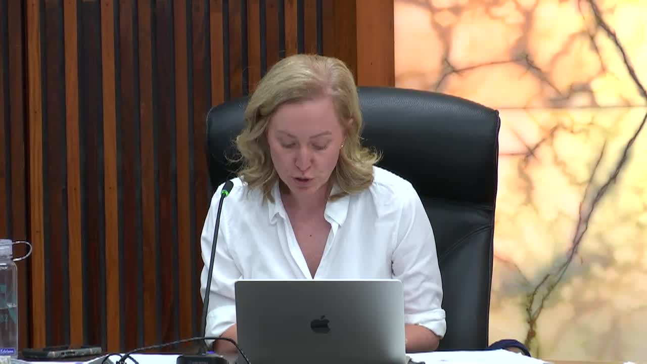 Hennepin County Human Service Committee March 24 2026