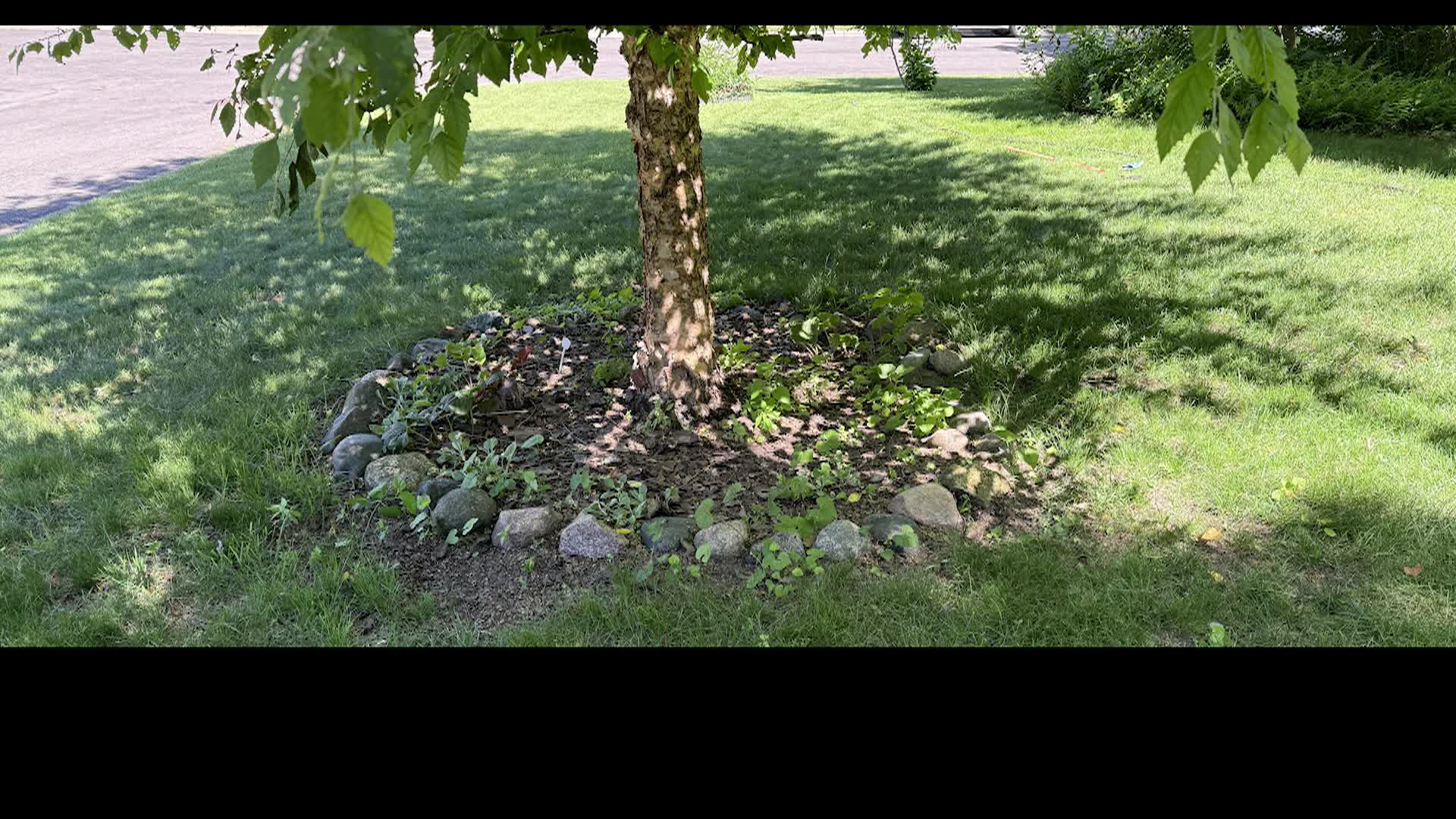 How to start a new garden with sheet mulching