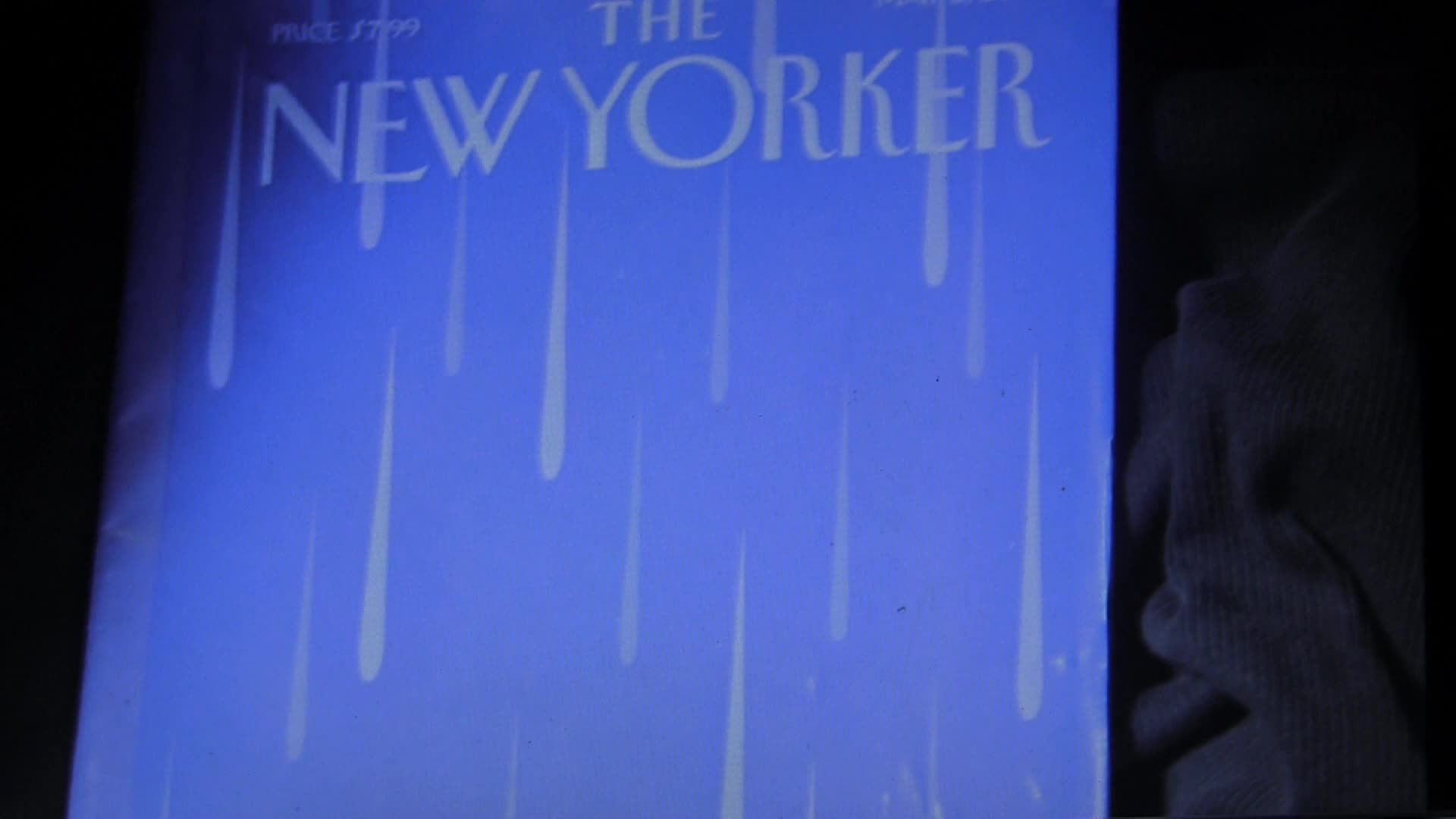 Thumbnail image for Arts in the Park video magazine Tribute to Prince 2016 to 2023_1